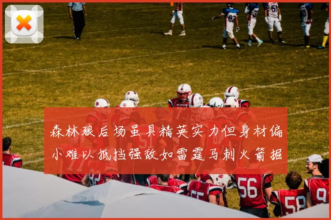 森林狼后场虽具精英实力但身材偏小难以抵挡强敌如雷霆马刺火箭掘金